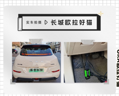 雲電慧眼手機端新能源新升級 支持長城歐拉好貓車型全系統檢測