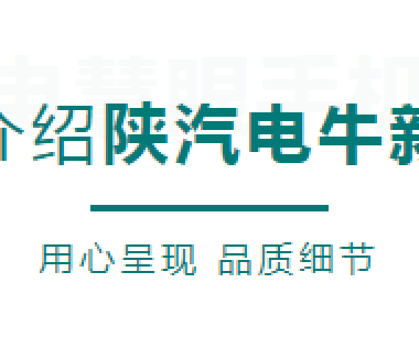 【澤世科技】雲電慧眼新能源手機端獨家支持陝汽電牛檢測電池包